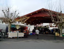 Rassemblements-mairie